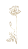 FLOR-10