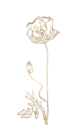 FLOR-10